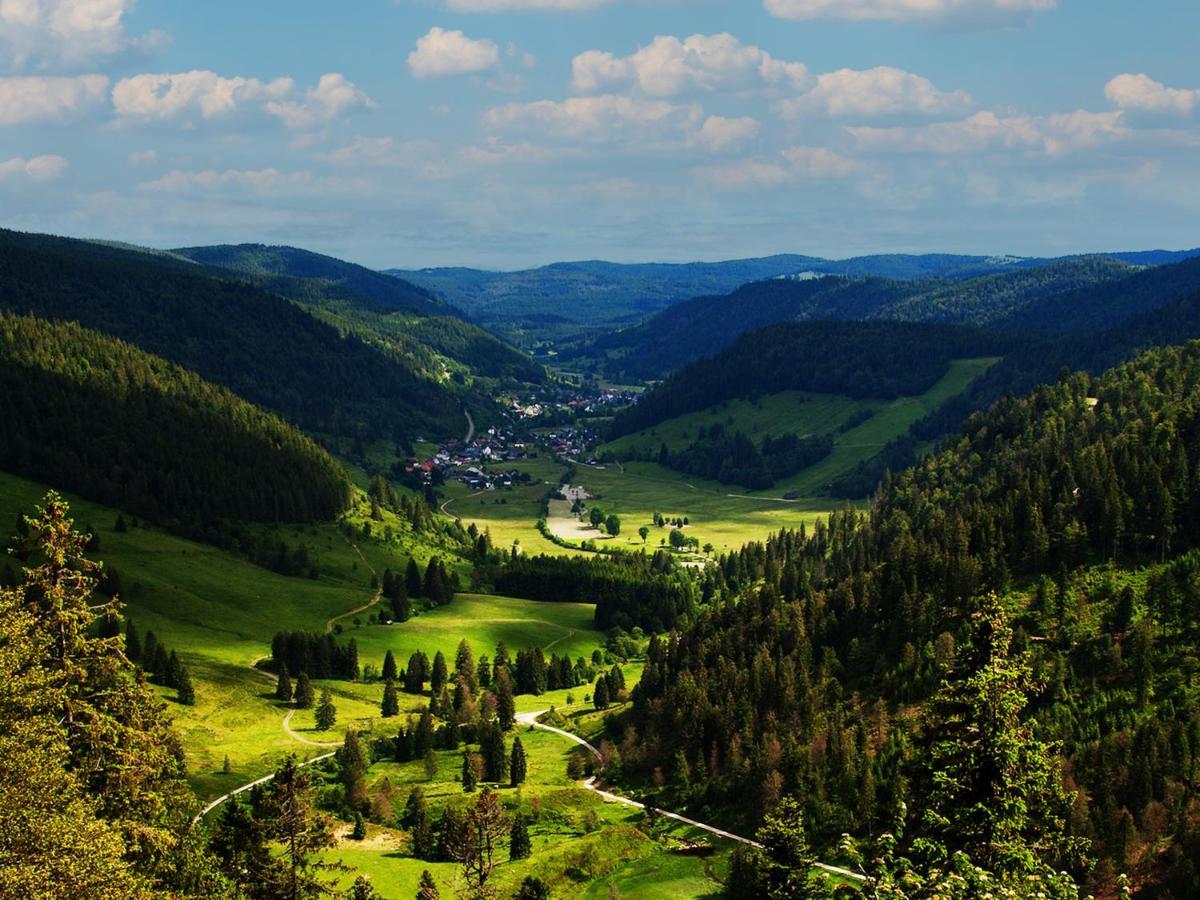 Black Forest Luxury Apartment Waldglueck Mit Sauna Konigsfeld im Schwarzwald Exterior photo